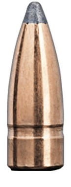 222 REM GAMEHEAD 55G.jpg