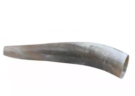 róg 40 cm.jpg